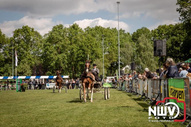 Tuigpaarden stelen de show tijdens sfeervol concours op De Haere in Doornspijk. - &copy; NWVFoto.nl