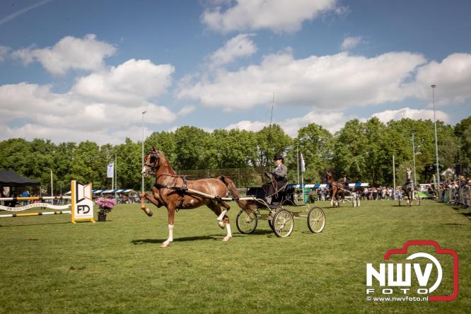 Tuigpaarden stelen de show tijdens sfeervol concours op De Haere in Doornspijk. - &copy; NWVFoto.nl
