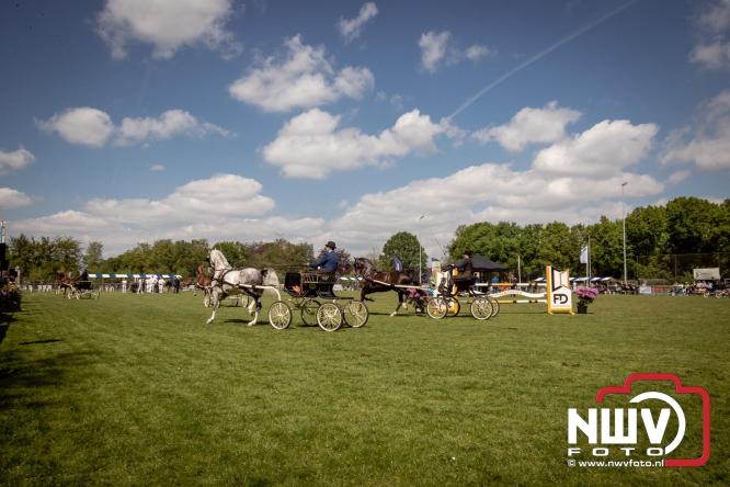 Tuigpaarden stelen de show tijdens sfeervol concours op De Haere in Doornspijk. - &copy; NWVFoto.nl