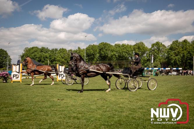 Tuigpaarden stelen de show tijdens sfeervol concours op De Haere in Doornspijk. - &copy; NWVFoto.nl