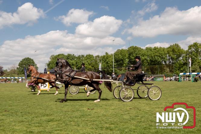 Tuigpaarden stelen de show tijdens sfeervol concours op De Haere in Doornspijk. - &copy; NWVFoto.nl