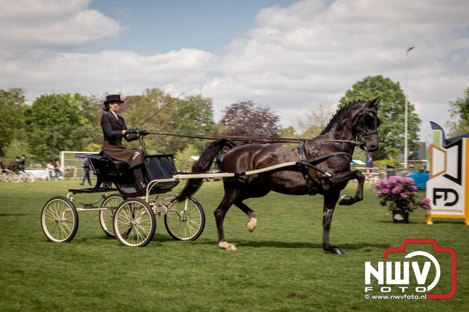 Tuigpaarden stelen de show tijdens sfeervol concours op De Haere in Doornspijk. - &copy; NWVFoto.nl