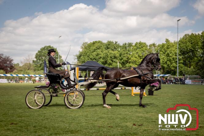 Tuigpaarden stelen de show tijdens sfeervol concours op De Haere in Doornspijk. - &copy; NWVFoto.nl