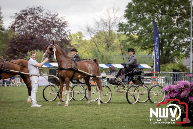 Tuigpaarden stelen de show tijdens sfeervol concours op De Haere in Doornspijk. - &copy; NWVFoto.nl