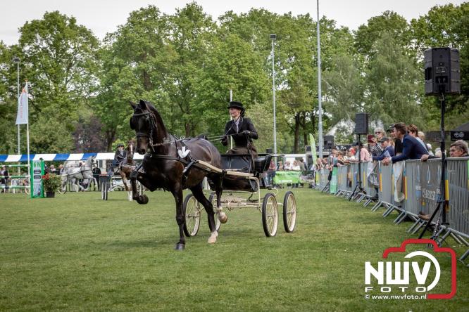 Tuigpaarden stelen de show tijdens sfeervol concours op De Haere in Doornspijk. - &copy; NWVFoto.nl