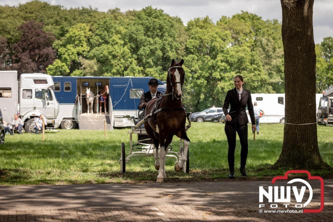 Tuigpaarden stelen de show tijdens sfeervol concours op De Haere in Doornspijk. - &copy; NWVFoto.nl