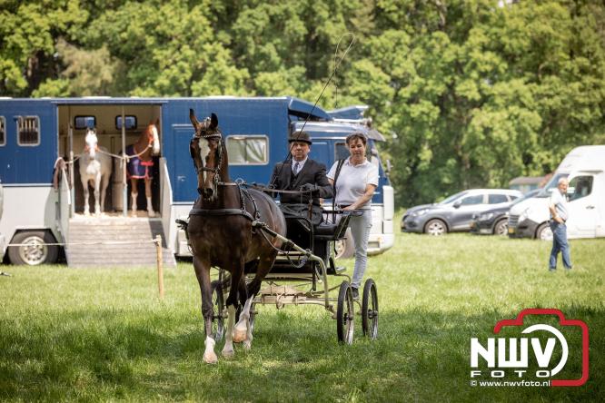 Tuigpaarden stelen de show tijdens sfeervol concours op De Haere in Doornspijk. - &copy; NWVFoto.nl
