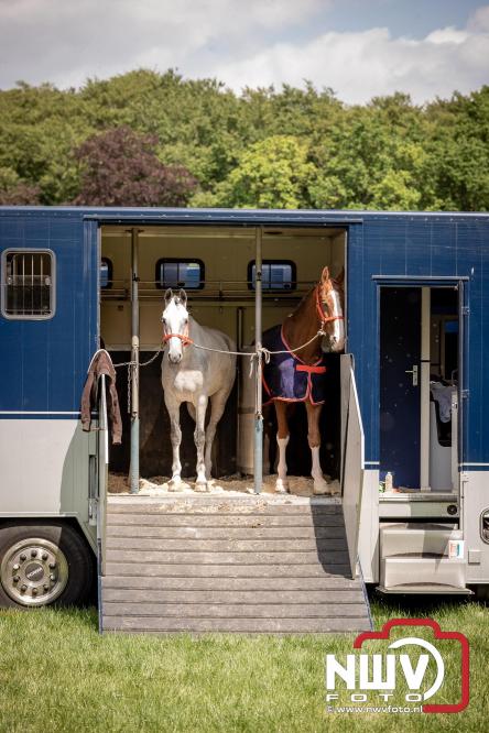 Tuigpaarden stelen de show tijdens sfeervol concours op De Haere in Doornspijk. - &copy; NWVFoto.nl