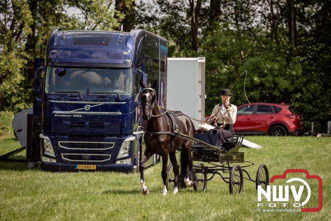 Tuigpaarden stelen de show tijdens sfeervol concours op De Haere in Doornspijk. - &copy; NWVFoto.nl