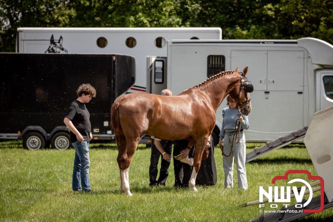Tuigpaarden stelen de show tijdens sfeervol concours op De Haere in Doornspijk. - &copy; NWVFoto.nl