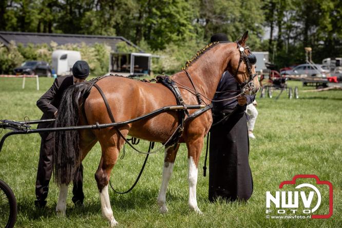 Tuigpaarden stelen de show tijdens sfeervol concours op De Haere in Doornspijk. - &copy; NWVFoto.nl