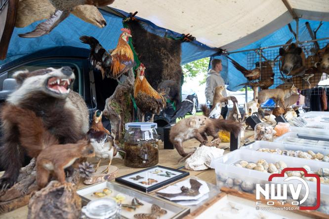 Bezoekers weten vlooienmarkt op 't Harde ondanks minder weer massaal te vinden. - &copy; NWVFoto.nl