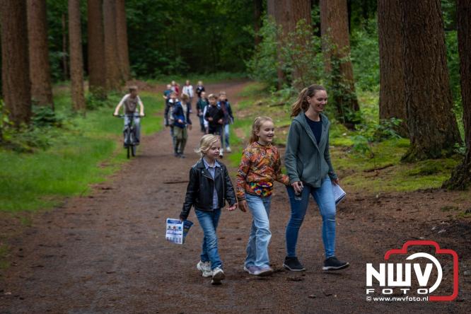 Na valse start toch een prachtige wandelavond, bijna 500 deelnemers genieten in de bossen van ’t Harde - &copy; NWVFoto.nl