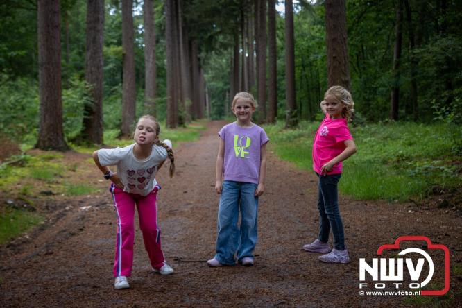 Na valse start toch een prachtige wandelavond, bijna 500 deelnemers genieten in de bossen van ’t Harde - &copy; NWVFoto.nl