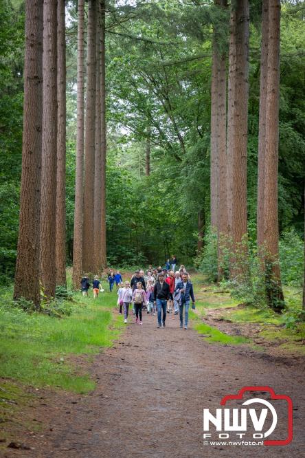 Na valse start toch een prachtige wandelavond, bijna 500 deelnemers genieten in de bossen van ’t Harde - &copy; NWVFoto.nl
