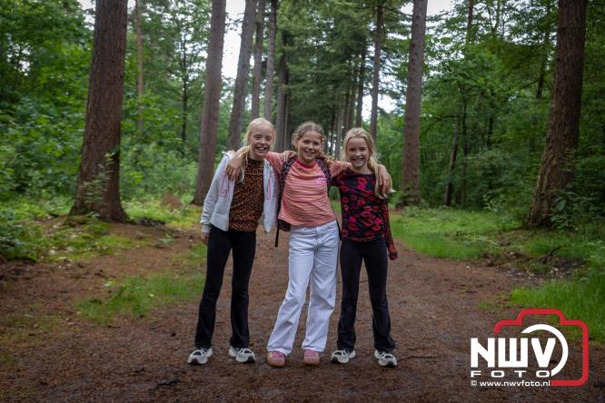 Na valse start toch een prachtige wandelavond, bijna 500 deelnemers genieten in de bossen van ’t Harde - &copy; NWVFoto.nl