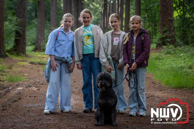 Na valse start toch een prachtige wandelavond, bijna 500 deelnemers genieten in de bossen van ’t Harde - &copy; NWVFoto.nl