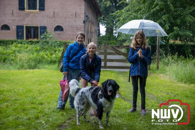 Regen houdt wandelaars niet tegen tijdens Avondvierdaagse ’t Harde - &copy; NWVFoto.nl