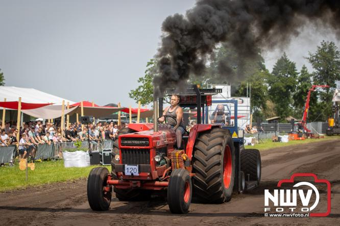 Boerentrekkertrek in Hulshorst trok veel publiek ondanks tropische hitte. - &copy; NWVFoto.nl