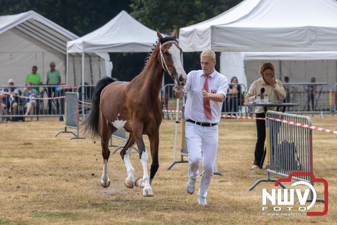 Landgoed Zwaluwenburg 't Harde vormt decor voor Fokdag en Concours van Warmbloedpaarden fokvereniging Oldebroek e.o. - &copy; NWVFoto.nl