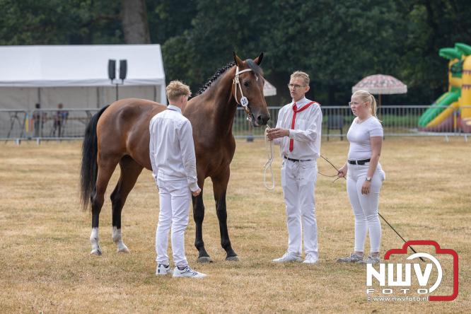 Landgoed Zwaluwenburg 't Harde vormt decor voor Fokdag en Concours van Warmbloedpaarden fokvereniging Oldebroek e.o. - &copy; NWVFoto.nl