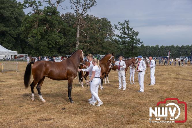 Landgoed Zwaluwenburg 't Harde vormt decor voor Fokdag en Concours van Warmbloedpaarden fokvereniging Oldebroek e.o. - &copy; NWVFoto.nl