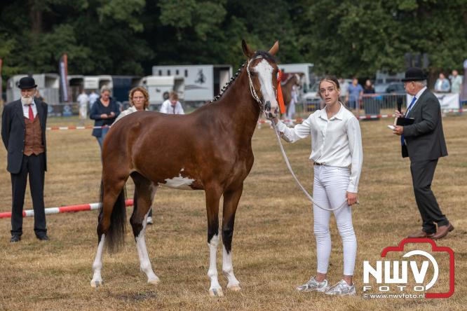Landgoed Zwaluwenburg 't Harde vormt decor voor Fokdag en Concours van Warmbloedpaarden fokvereniging Oldebroek e.o. - &copy; NWVFoto.nl