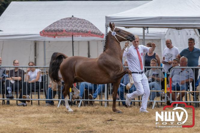 Landgoed Zwaluwenburg 't Harde vormt decor voor Fokdag en Concours van Warmbloedpaarden fokvereniging Oldebroek e.o. - &copy; NWVFoto.nl