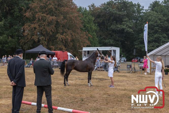 Landgoed Zwaluwenburg 't Harde vormt decor voor Fokdag en Concours van Warmbloedpaarden fokvereniging Oldebroek e.o. - &copy; NWVFoto.nl