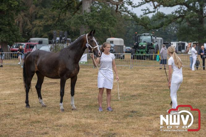 Landgoed Zwaluwenburg 't Harde vormt decor voor Fokdag en Concours van Warmbloedpaarden fokvereniging Oldebroek e.o. - &copy; NWVFoto.nl