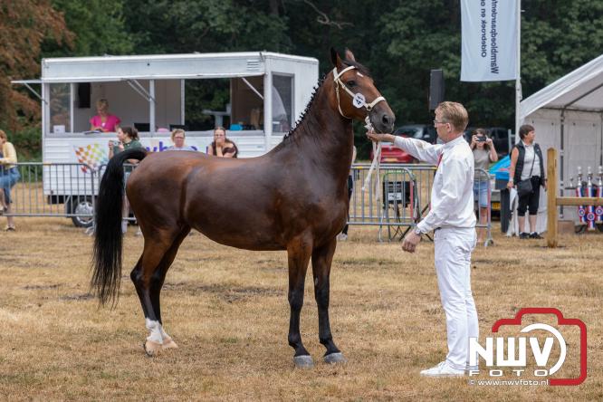 Landgoed Zwaluwenburg 't Harde vormt decor voor Fokdag en Concours van Warmbloedpaarden fokvereniging Oldebroek e.o. - &copy; NWVFoto.nl