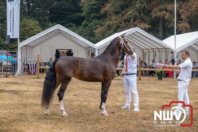 Landgoed Zwaluwenburg 't Harde vormt decor voor Fokdag en Concours van Warmbloedpaarden fokvereniging Oldebroek e.o. - &copy; NWVFoto.nl