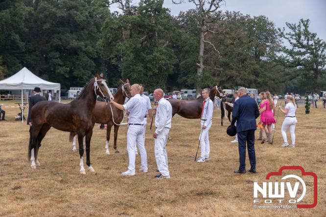 Landgoed Zwaluwenburg 't Harde vormt decor voor Fokdag en Concours van Warmbloedpaarden fokvereniging Oldebroek e.o. - &copy; NWVFoto.nl