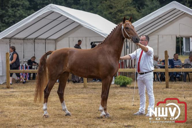 Landgoed Zwaluwenburg 't Harde vormt decor voor Fokdag en Concours van Warmbloedpaarden fokvereniging Oldebroek e.o. - &copy; NWVFoto.nl