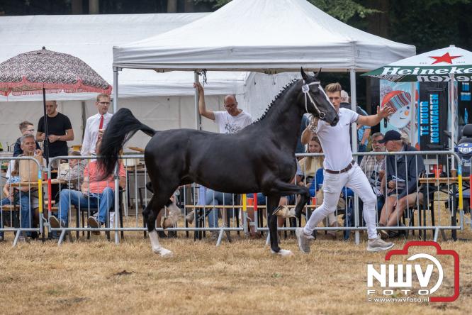 Landgoed Zwaluwenburg 't Harde vormt decor voor Fokdag en Concours van Warmbloedpaarden fokvereniging Oldebroek e.o. - &copy; NWVFoto.nl