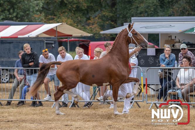 Landgoed Zwaluwenburg 't Harde vormt decor voor Fokdag en Concours van Warmbloedpaarden fokvereniging Oldebroek e.o. - &copy; NWVFoto.nl