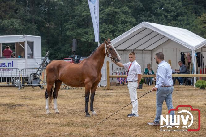 Landgoed Zwaluwenburg 't Harde vormt decor voor Fokdag en Concours van Warmbloedpaarden fokvereniging Oldebroek e.o. - &copy; NWVFoto.nl