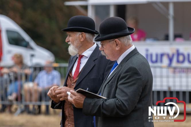Landgoed Zwaluwenburg 't Harde vormt decor voor Fokdag en Concours van Warmbloedpaarden fokvereniging Oldebroek e.o. - &copy; NWVFoto.nl