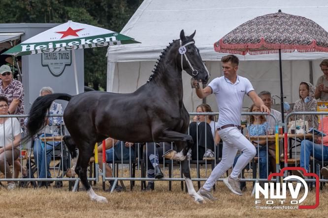 Landgoed Zwaluwenburg 't Harde vormt decor voor Fokdag en Concours van Warmbloedpaarden fokvereniging Oldebroek e.o. - &copy; NWVFoto.nl