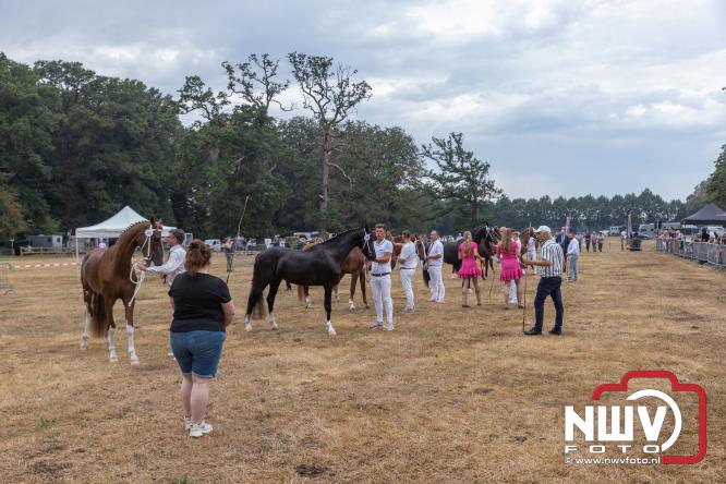 Landgoed Zwaluwenburg 't Harde vormt decor voor Fokdag en Concours van Warmbloedpaarden fokvereniging Oldebroek e.o. - &copy; NWVFoto.nl