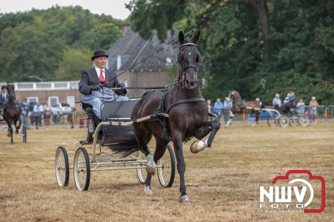 Landgoed Zwaluwenburg 't Harde vormt decor voor Fokdag en Concours van Warmbloedpaarden fokvereniging Oldebroek e.o. - &copy; NWVFoto.nl
