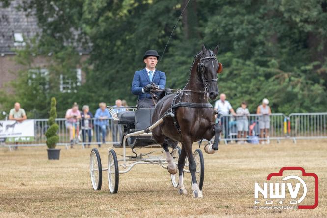 Landgoed Zwaluwenburg 't Harde vormt decor voor Fokdag en Concours van Warmbloedpaarden fokvereniging Oldebroek e.o. - &copy; NWVFoto.nl