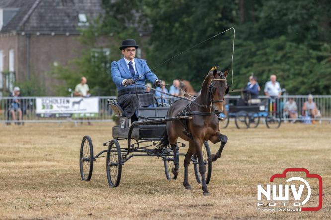 Landgoed Zwaluwenburg 't Harde vormt decor voor Fokdag en Concours van Warmbloedpaarden fokvereniging Oldebroek e.o. - &copy; NWVFoto.nl