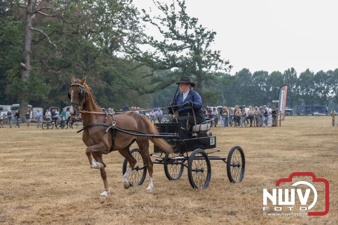 Landgoed Zwaluwenburg 't Harde vormt decor voor Fokdag en Concours van Warmbloedpaarden fokvereniging Oldebroek e.o. - &copy; NWVFoto.nl