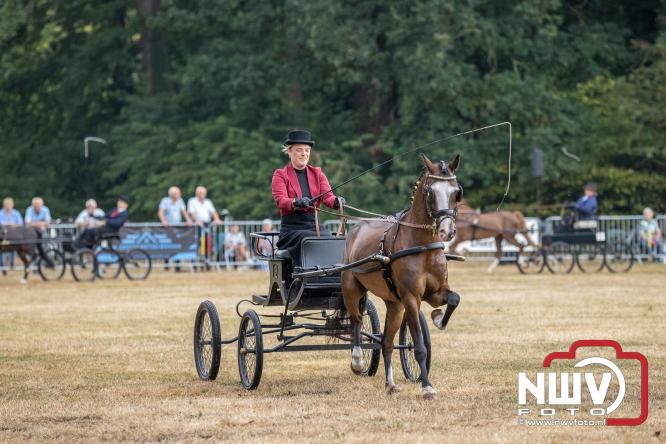 Landgoed Zwaluwenburg 't Harde vormt decor voor Fokdag en Concours van Warmbloedpaarden fokvereniging Oldebroek e.o. - &copy; NWVFoto.nl