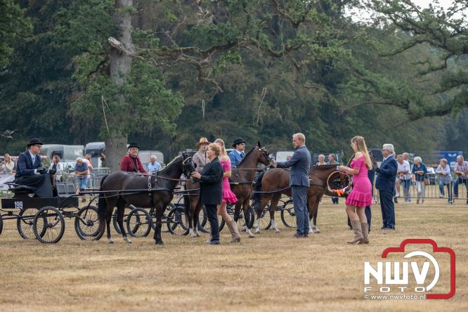 Landgoed Zwaluwenburg 't Harde vormt decor voor Fokdag en Concours van Warmbloedpaarden fokvereniging Oldebroek e.o. - &copy; NWVFoto.nl
