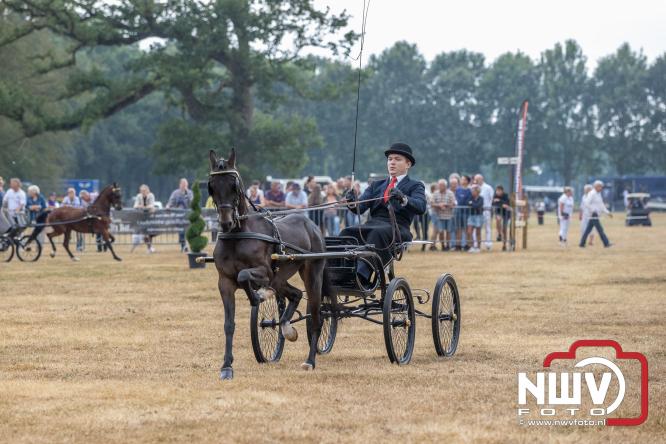 Landgoed Zwaluwenburg 't Harde vormt decor voor Fokdag en Concours van Warmbloedpaarden fokvereniging Oldebroek e.o. - &copy; NWVFoto.nl