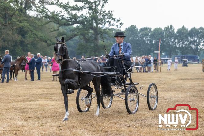 Landgoed Zwaluwenburg 't Harde vormt decor voor Fokdag en Concours van Warmbloedpaarden fokvereniging Oldebroek e.o. - &copy; NWVFoto.nl