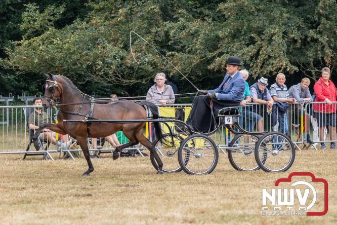 Landgoed Zwaluwenburg 't Harde vormt decor voor Fokdag en Concours van Warmbloedpaarden fokvereniging Oldebroek e.o. - &copy; NWVFoto.nl