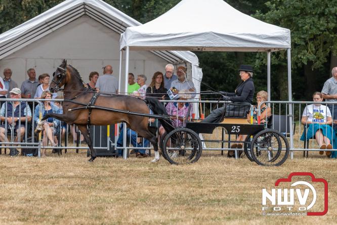 Landgoed Zwaluwenburg 't Harde vormt decor voor Fokdag en Concours van Warmbloedpaarden fokvereniging Oldebroek e.o. - &copy; NWVFoto.nl